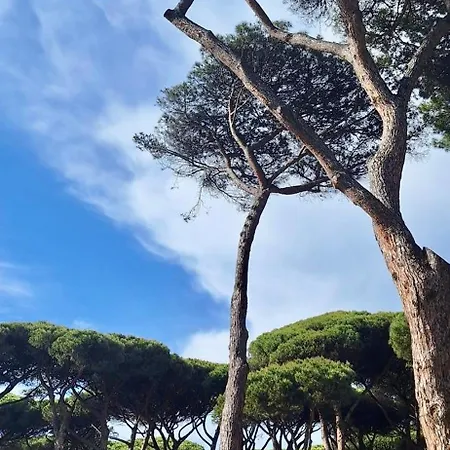 Vicino Al Mare Διαμέρισμα *
